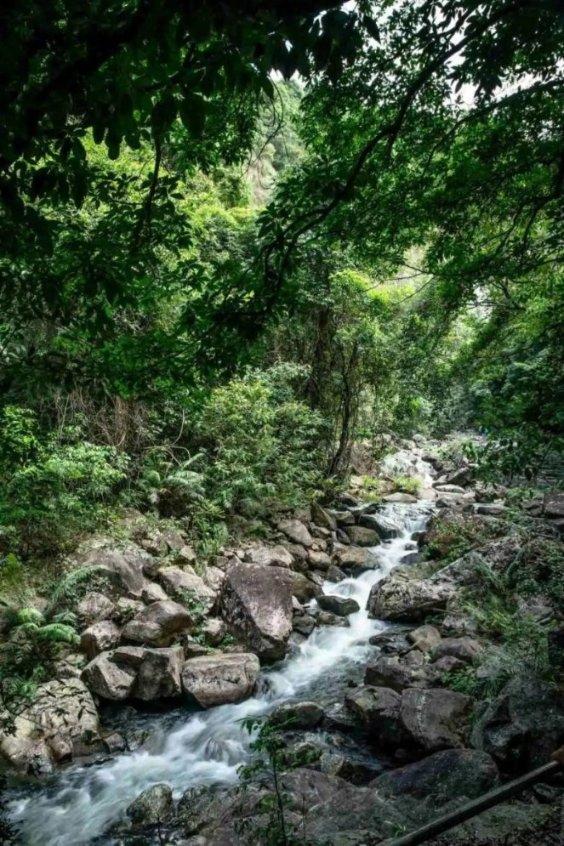 埃及神庙找不同
